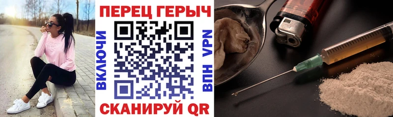 Купить закладки  Шагонар  Героин афганец 