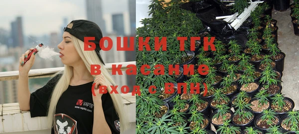 ГАЛЛЮЦИНОГЕННЫЕ ГРИБЫ Костерёво