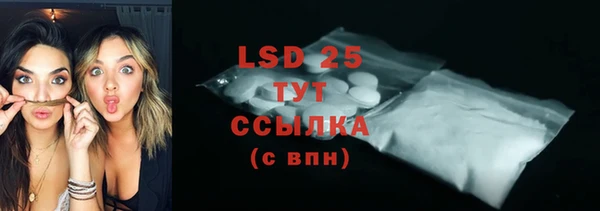 ГАЛЛЮЦИНОГЕННЫЕ ГРИБЫ Костерёво