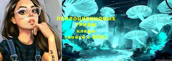 ГАЛЛЮЦИНОГЕННЫЕ ГРИБЫ Костерёво