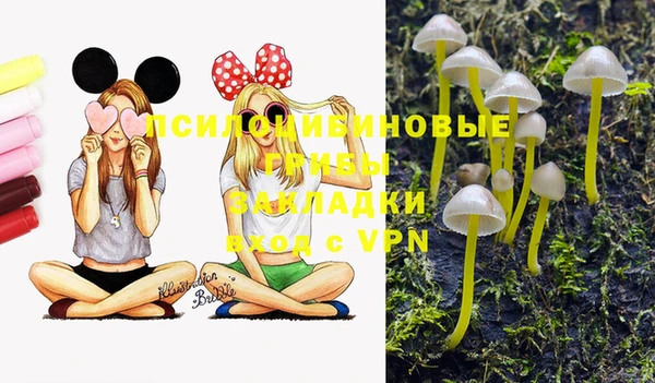 а пвп мука Корсаков